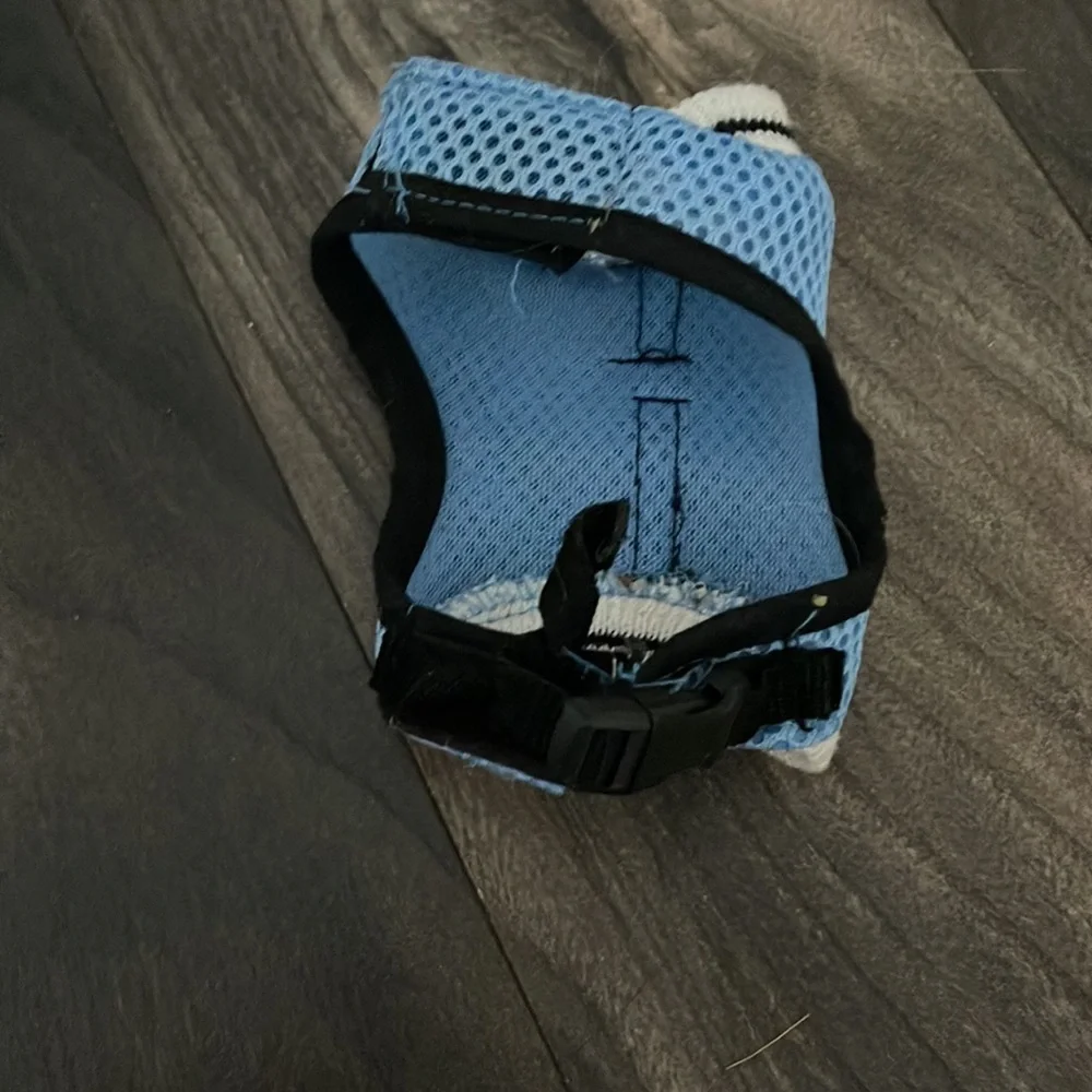 Small animal collar 🎉❤️🥰Host pick🥰❤️🎉